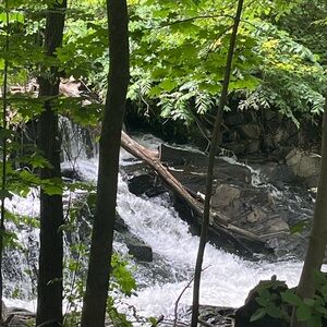 Meet your Posher, Guadalupe